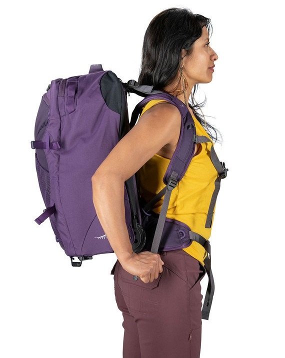 advantages disadvantages of wheeled backpacks