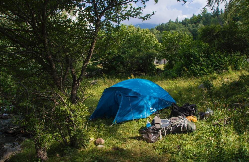 Tiger View Jungle Camp